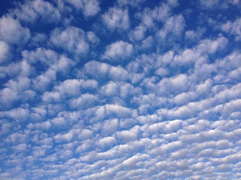 Cloud Hosting for the Long Now