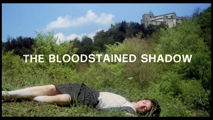 The Bloodstained Shadow (1978)