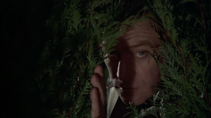 Michael Caine peering through a shrub.