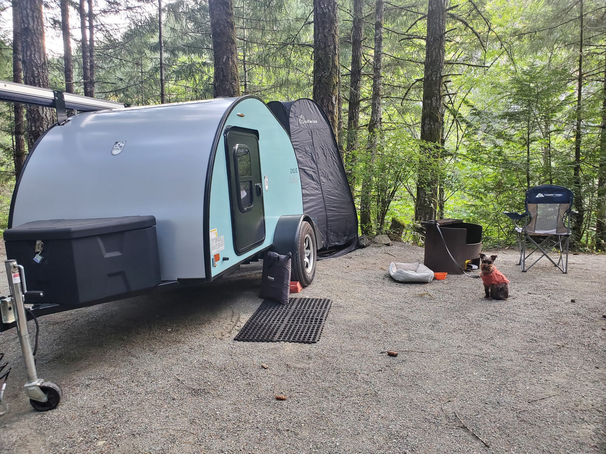 A photo of a teardrop trailer, blue door closed, next to a small popup tent, pit fire and little dog on a leash with orange sweater.  She is a min schnauzer.