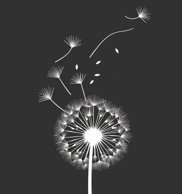 black and white image of a dandilion (the kind with seeds to wish on) with some seeds blowing away (making a wish!)