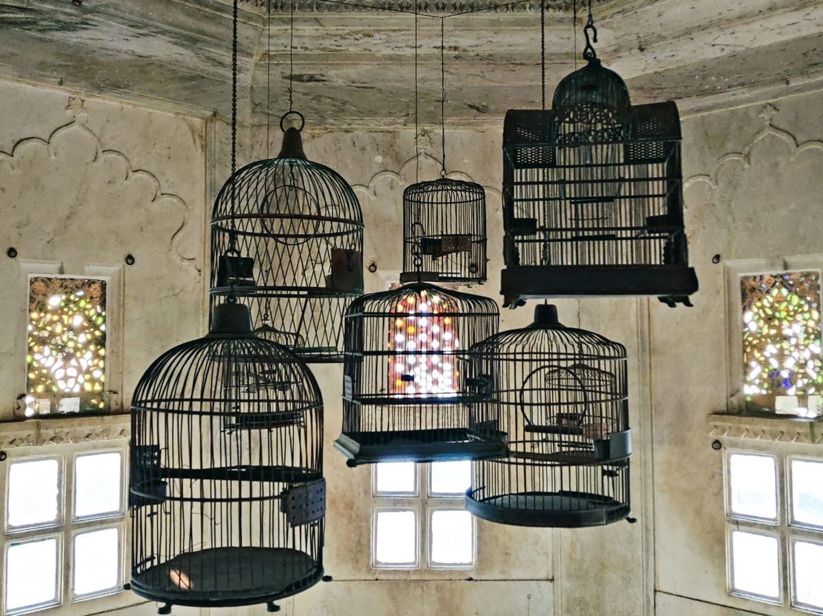 The cage we're designing in the name of productivity