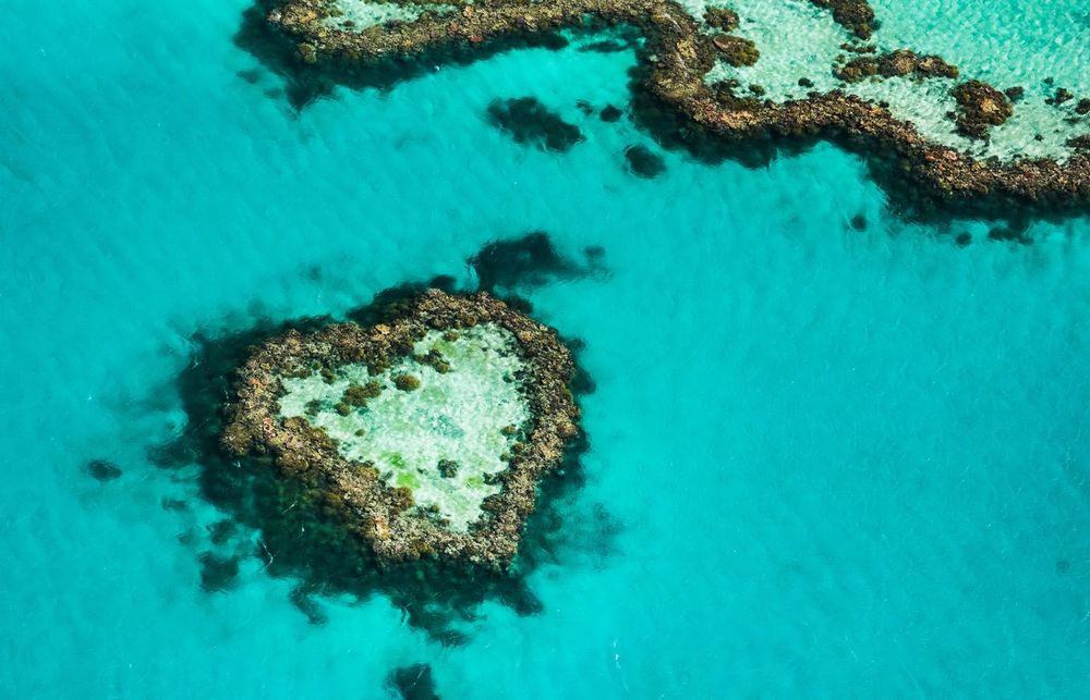 10 years of Bluestone Lane Coffee