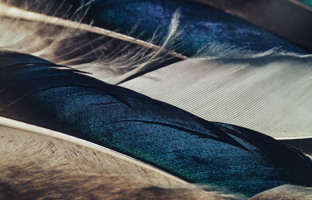 Fonts I’m loving rn: September 2023