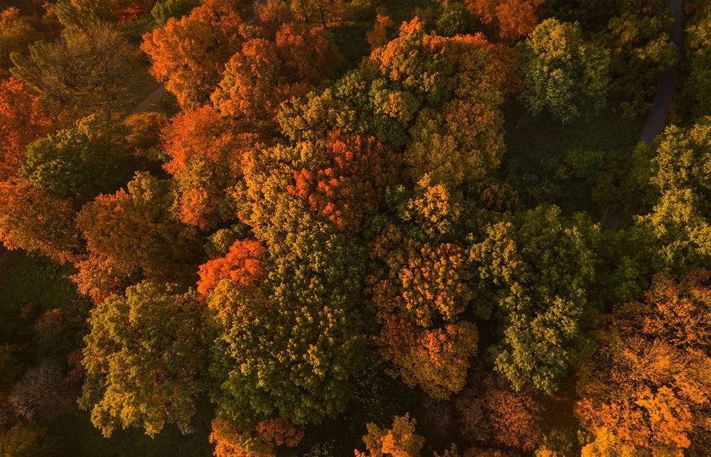 New on Adobe Fonts (Fall 2023)