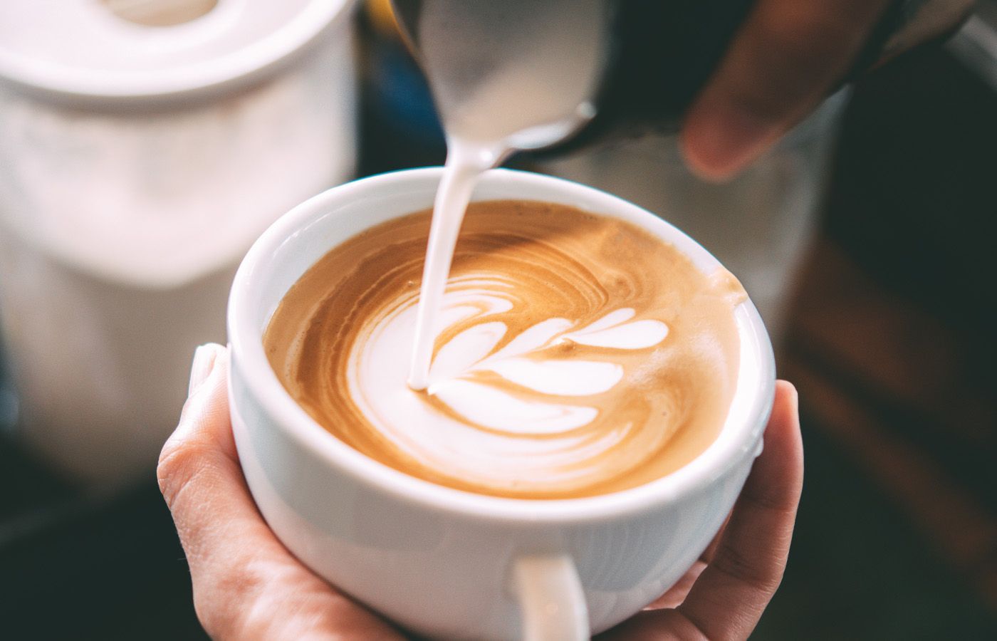 Fonts for Coffee