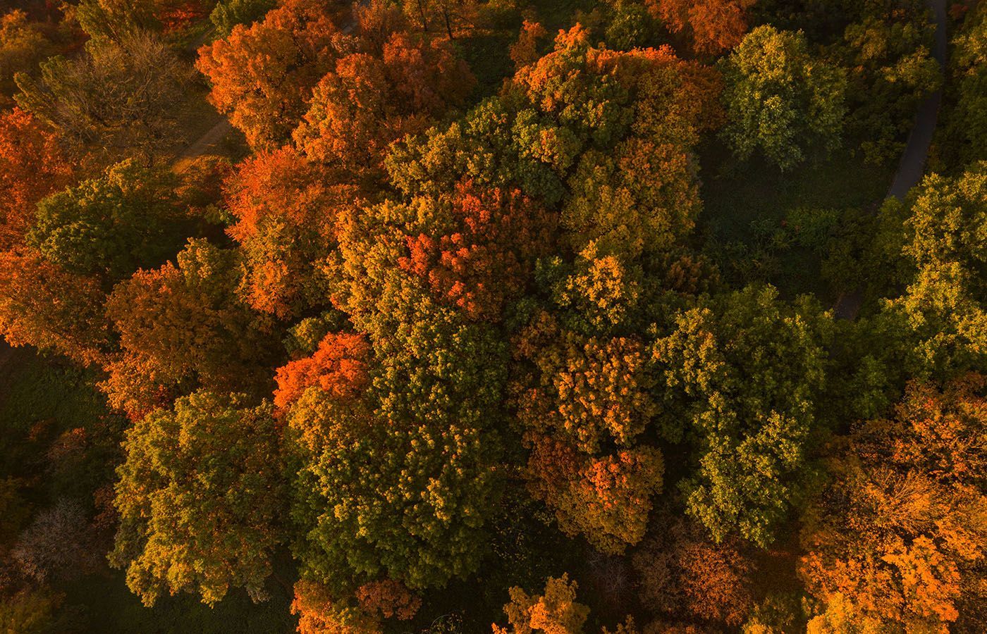 New on Adobe Fonts (Fall 2023)