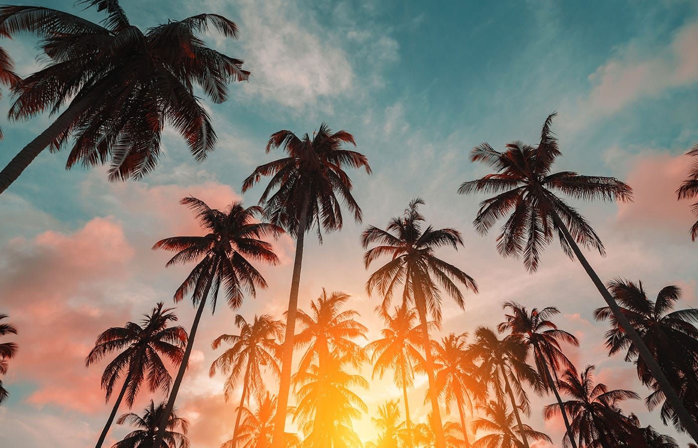 Fonts for Palm Springs