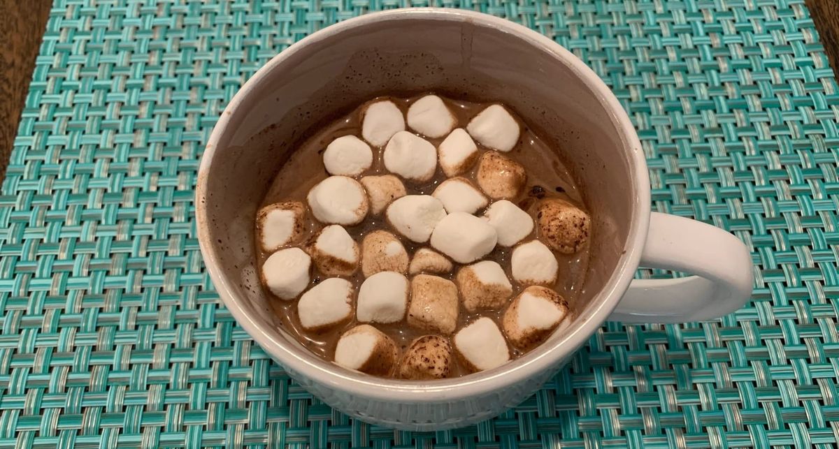 Post-Expedition Cocoa from the Tomb Raider Cookbook