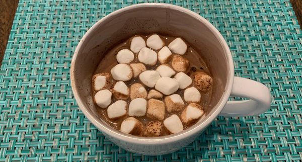 Post-Expedition Cocoa from the Tomb Raider Cookbook