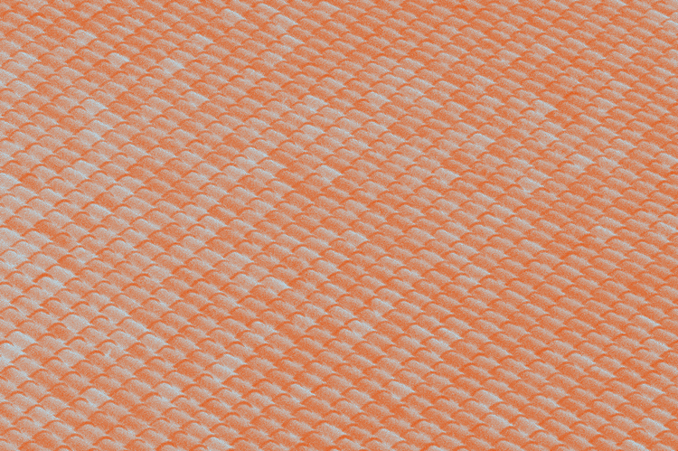 STAR QUEEN FOR AUTONOMY AND DEFENSE