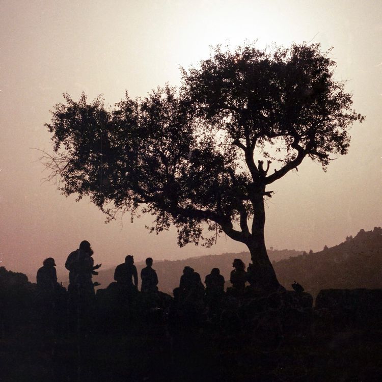 WHAT HAVEN'T I LOVED ABOUT GAZA