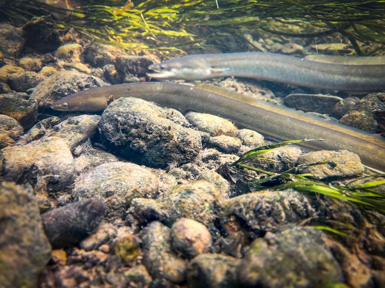 How do you know it's time?