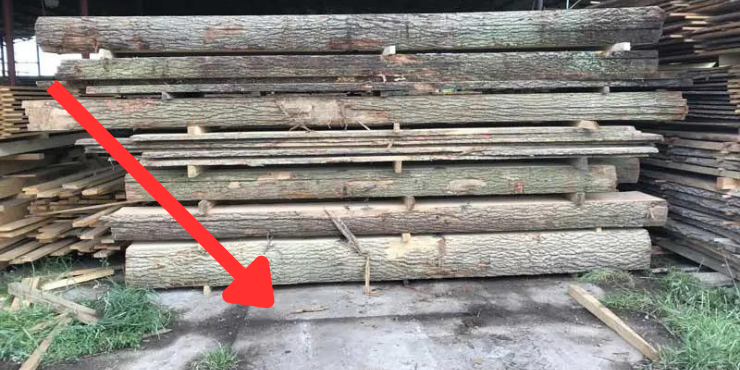 Děsivá krádež fošen