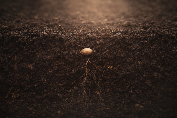 Why Progress Feels Invisible (And What’s Actually Happening)