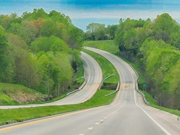 A split road curving off to the left surrounded by green trees.