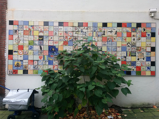 39445974934_8ec61ebbe6_z