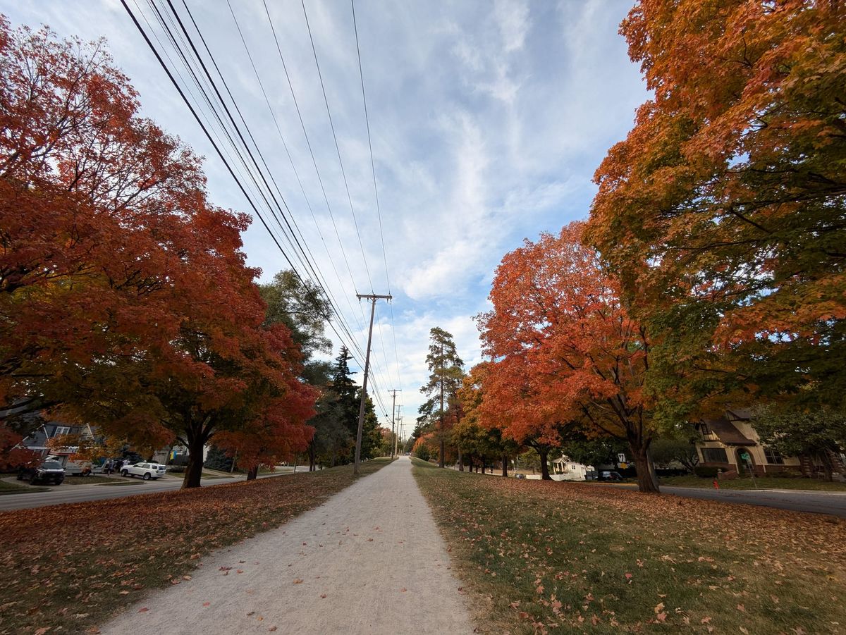 A Boring Phone, A Better Life