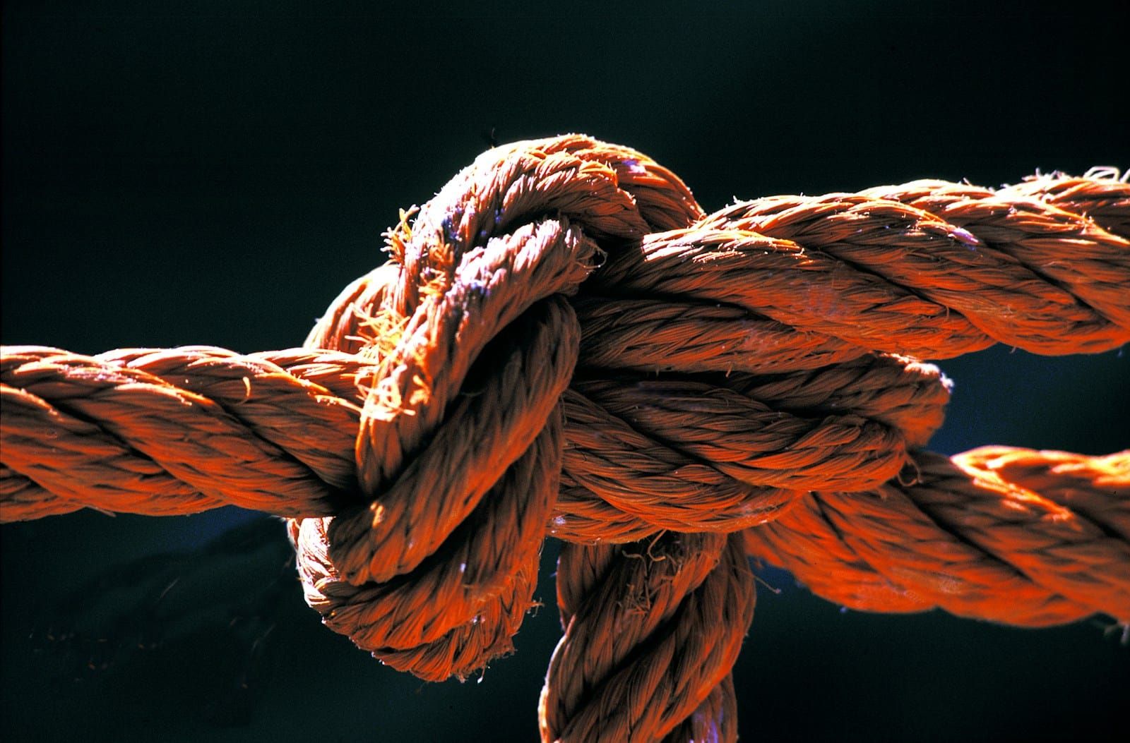 Tight close-up of a thick rope tied into a knot, lit against a plain black background.