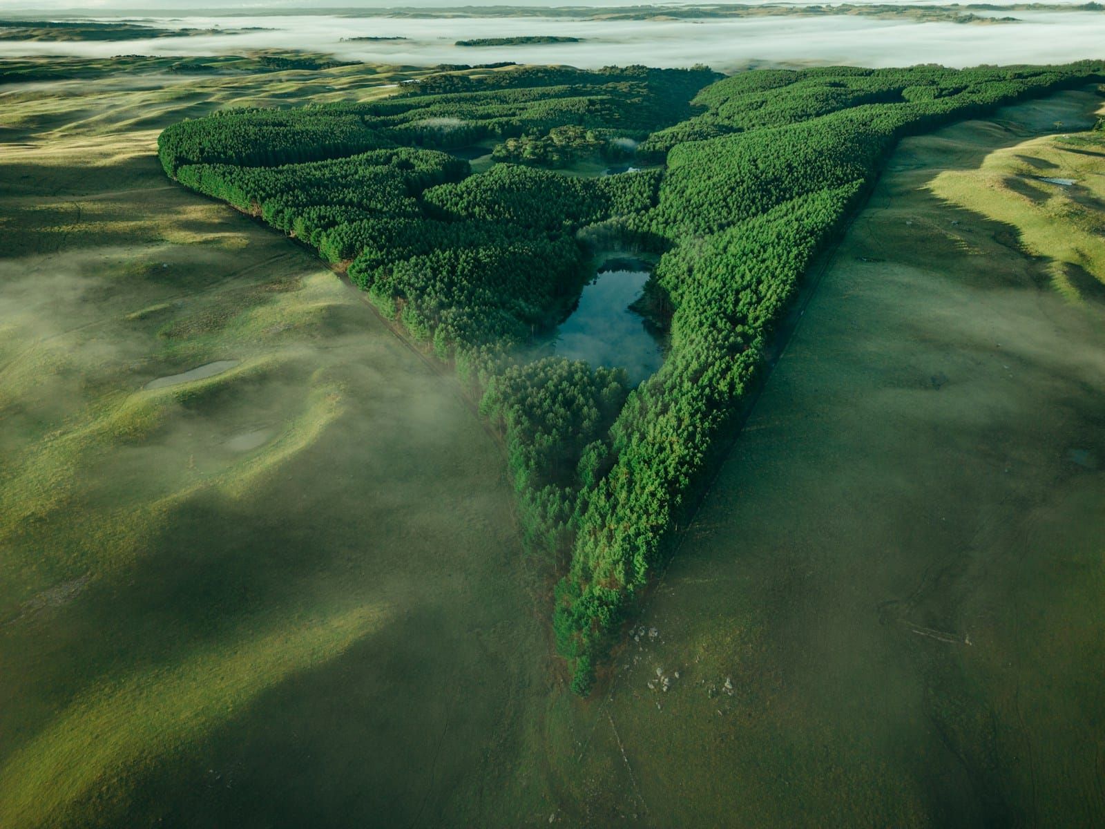 Aerial view of a winding river cutting through dense green rainforest canopy.
