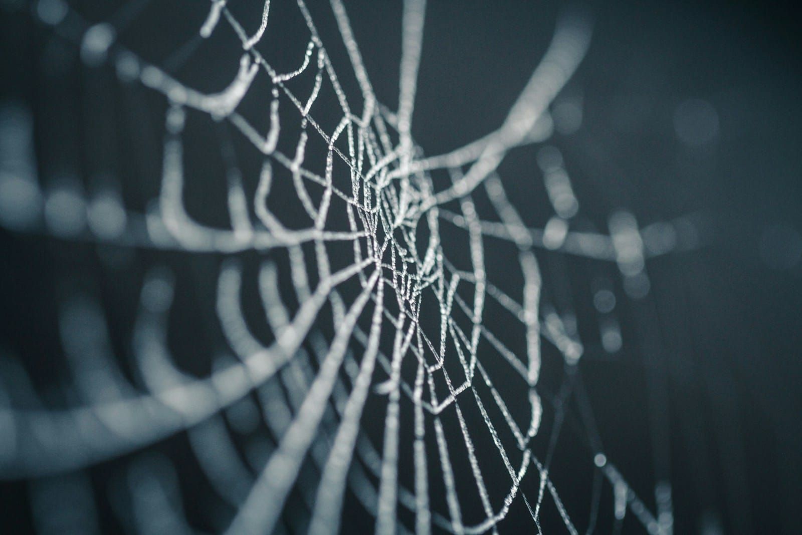 A frost-covered spider web forms a fine node-and-line network against a soft desaturated grey background, with no spider visible.