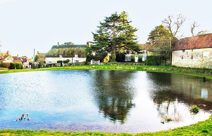 Ashmore pond