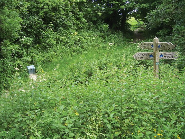 Dorsetshire Gap