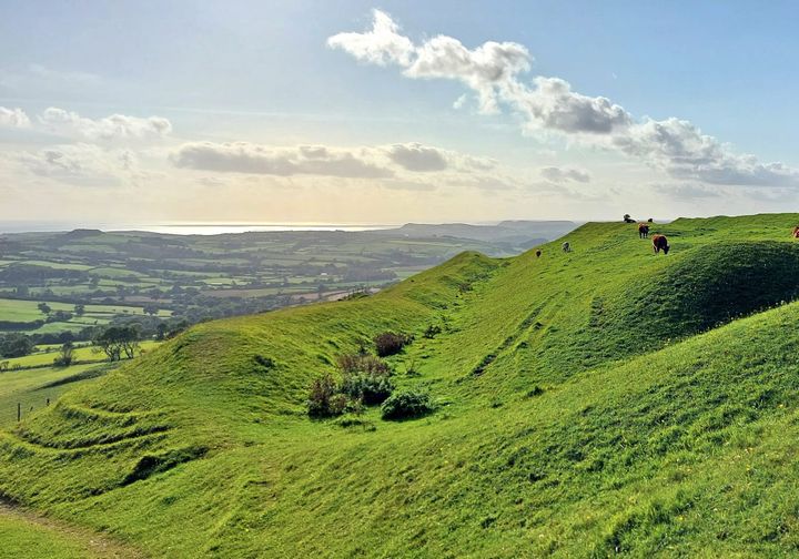 Eggardon Hill