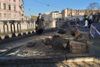 В Санкт-Петербурге срубили тополь из Call of Duty