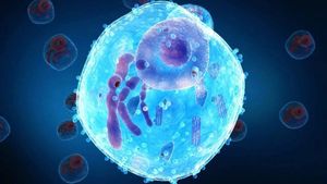 Учёные впервые создали синтетическую клетку, которая питается, растёт и делится
