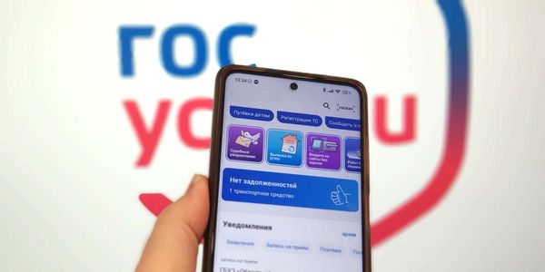 Госуслуги сделают кнопку для жалоб на просьбы выключить VPN