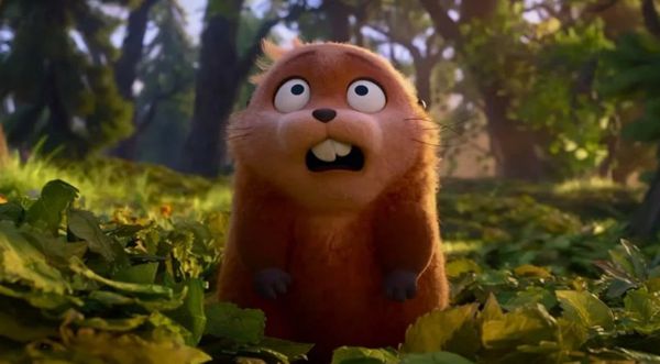 В России хотят ввести обязательную маркировку домашних животных