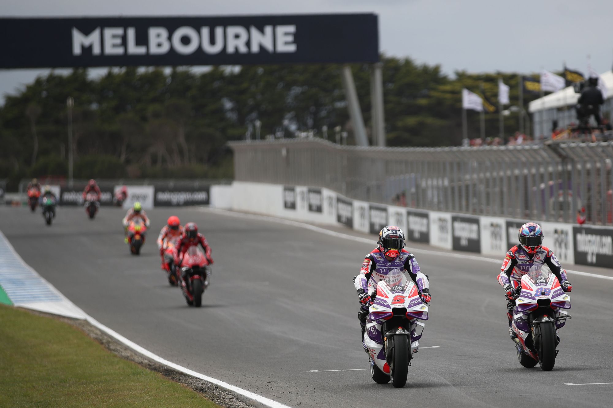 Johann Zarco and Jorge Martin, Pramac Ducati, MotoGP, Phillip Island, Australian GP
