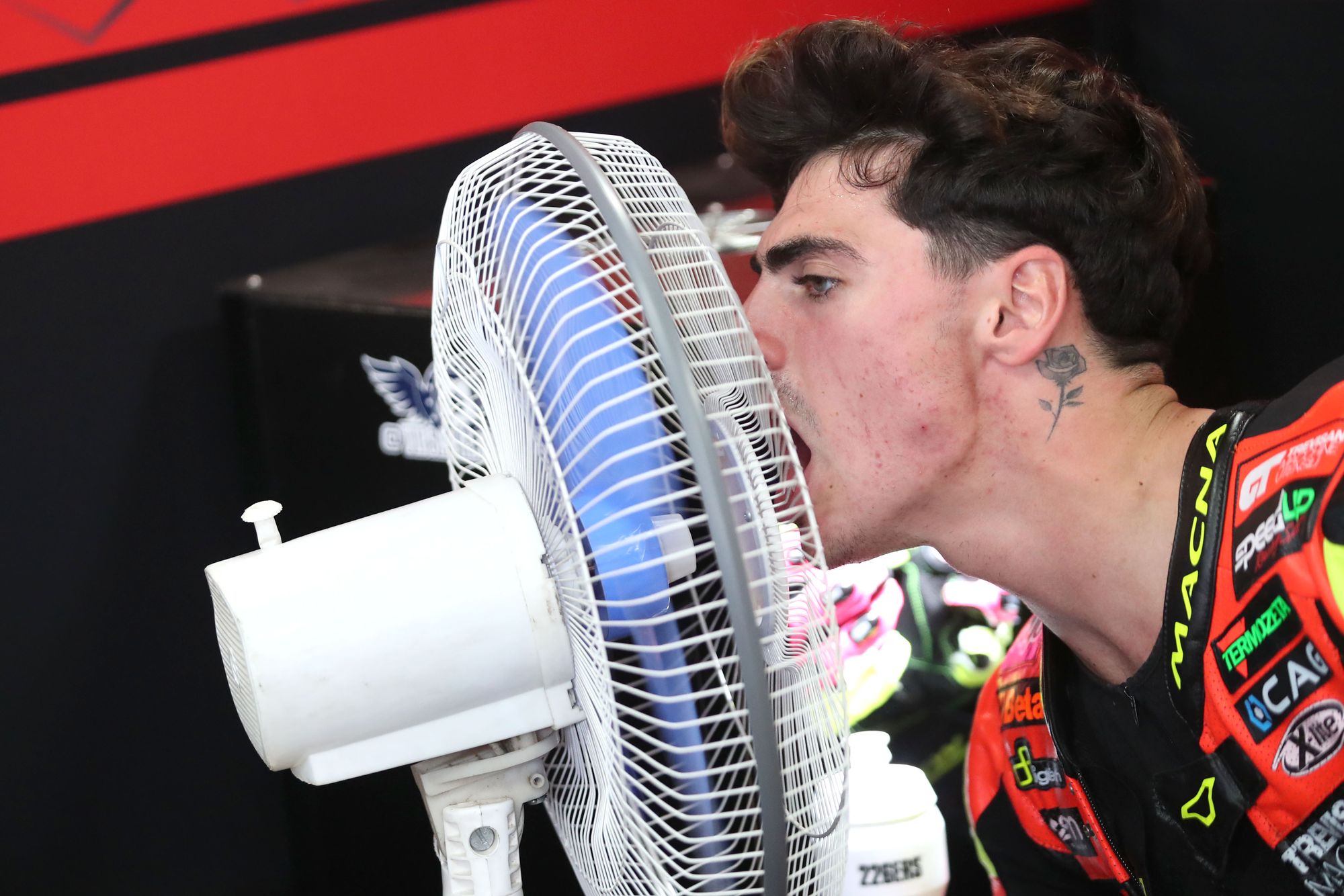 Fermin Aldeguer, Speed Up, Moto2