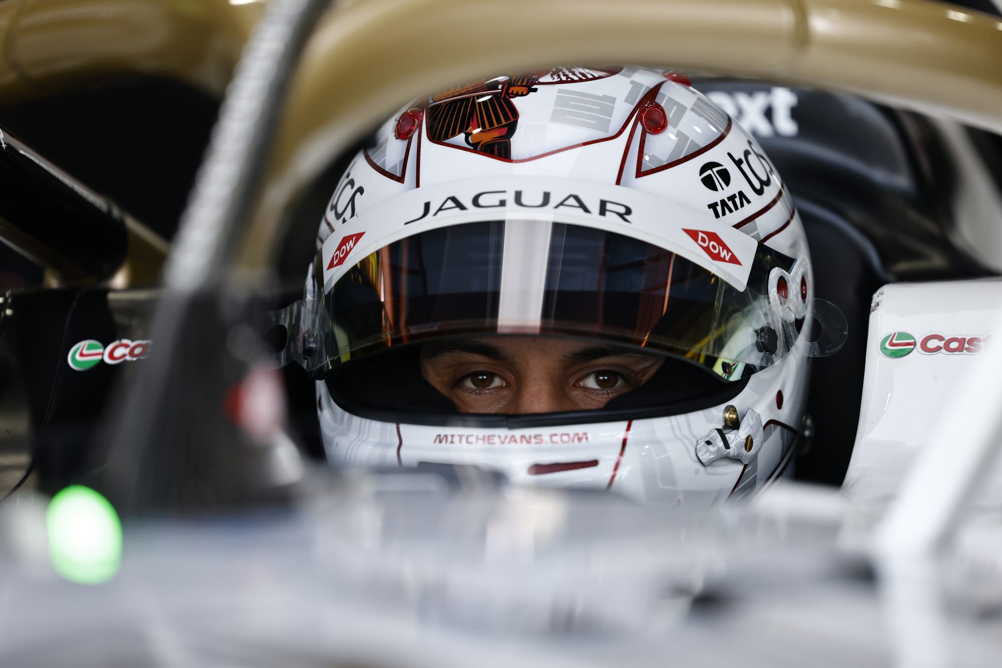Mitch Evans, Jaguar, Formula E, Tokyo E-Prix