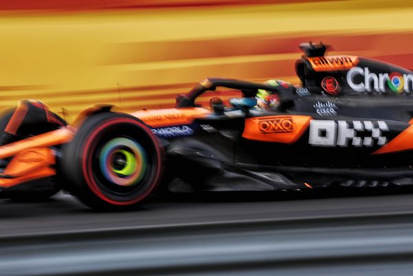 What happened in final F1 practice at Hungarian GP