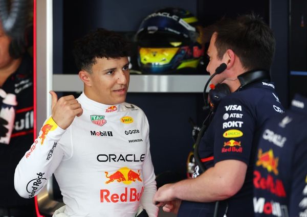 Isack Hadjar, Red Bull, F1