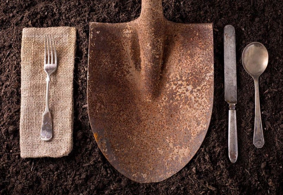 Farm to fork software development