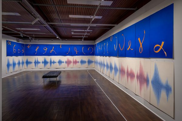 Language and Belonging