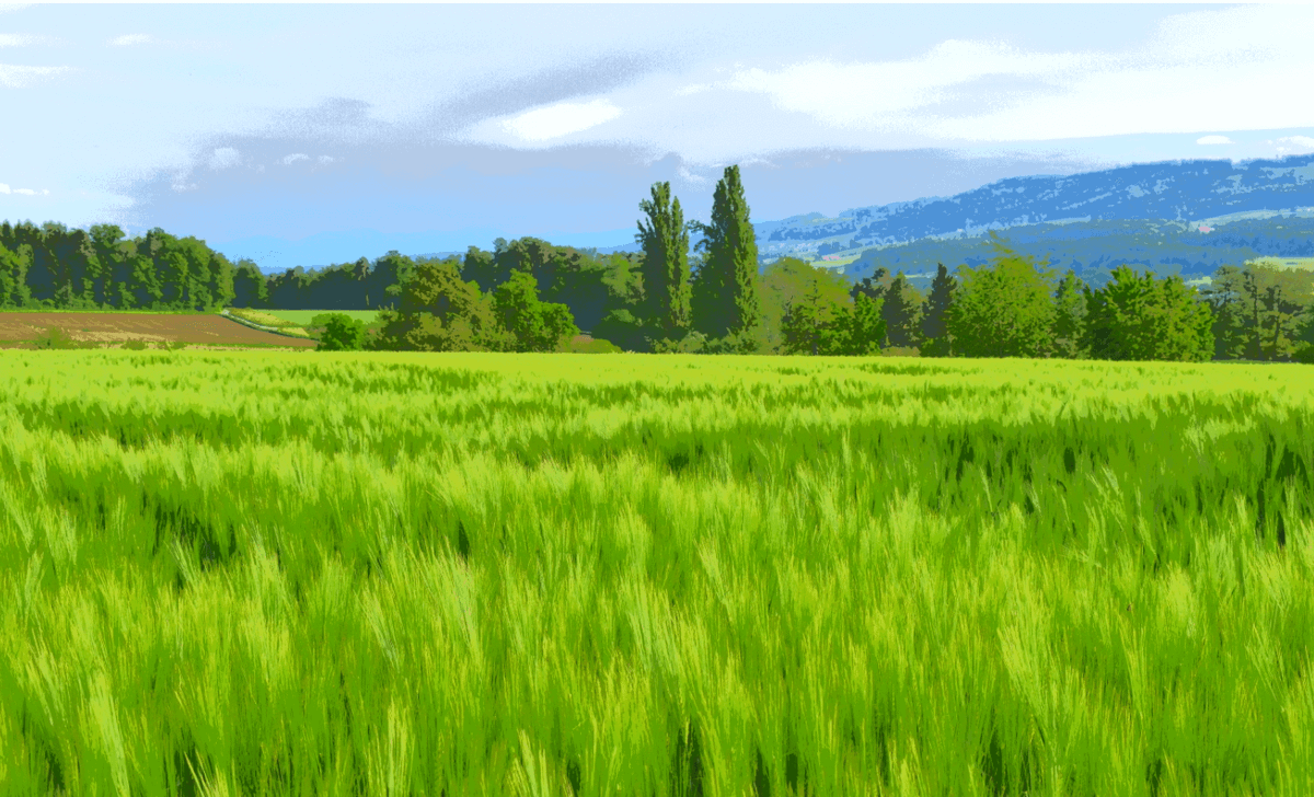 Does Klugne Mean Something? (Newsletter 002)