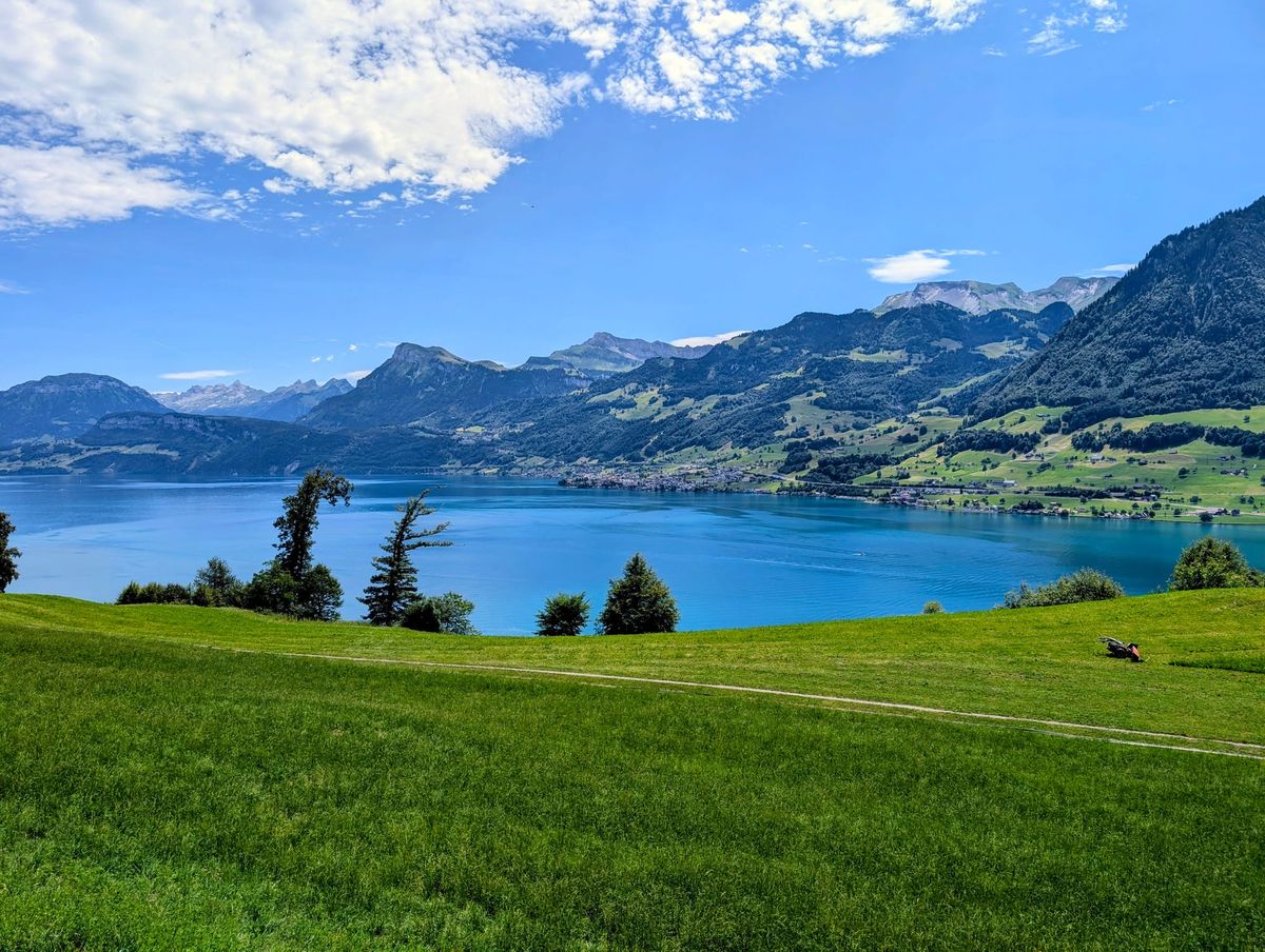 Alpine view of fields bordering a lake, leading to mountains under a blue sky