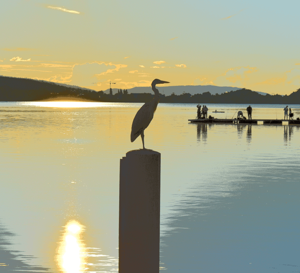 You Will Be What I Am (Newsletter 013)