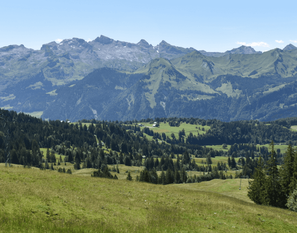 Green fields, pine forest, and mountains - Moral Letters to Lucilius
