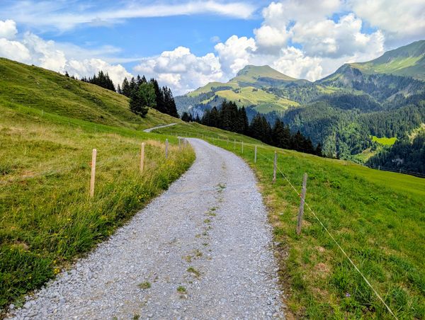 Gravel path running through green fields stretching toward distant mountains