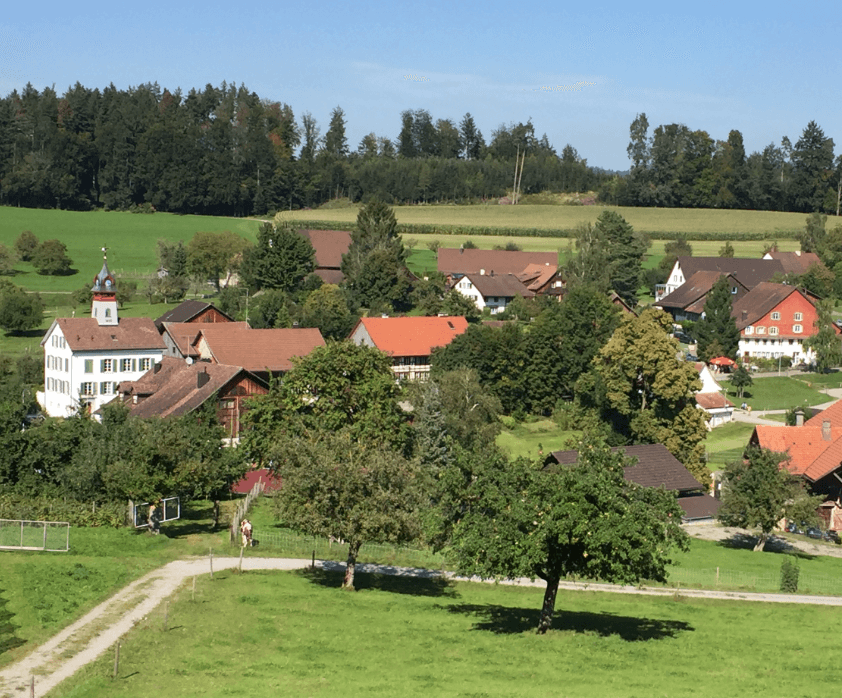 Quaint Swiss farmer's village set amidst green fields and trees