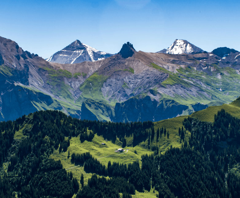 Rolling green hills with dark green trees in front of snow-capped mountain peaks