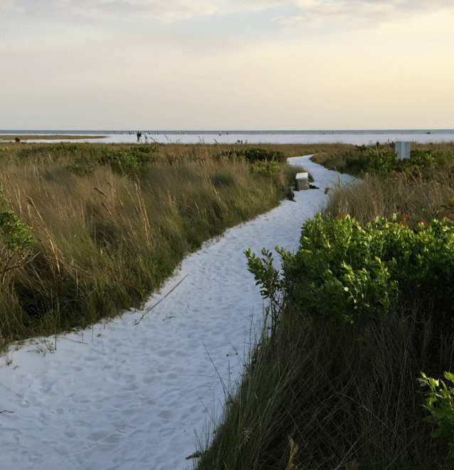 Beach path between sand dunes leading to the ocean