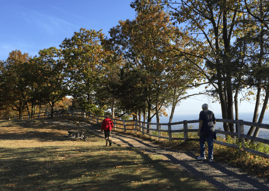 People walking along a path bordered by trees to the side of a steep cliff