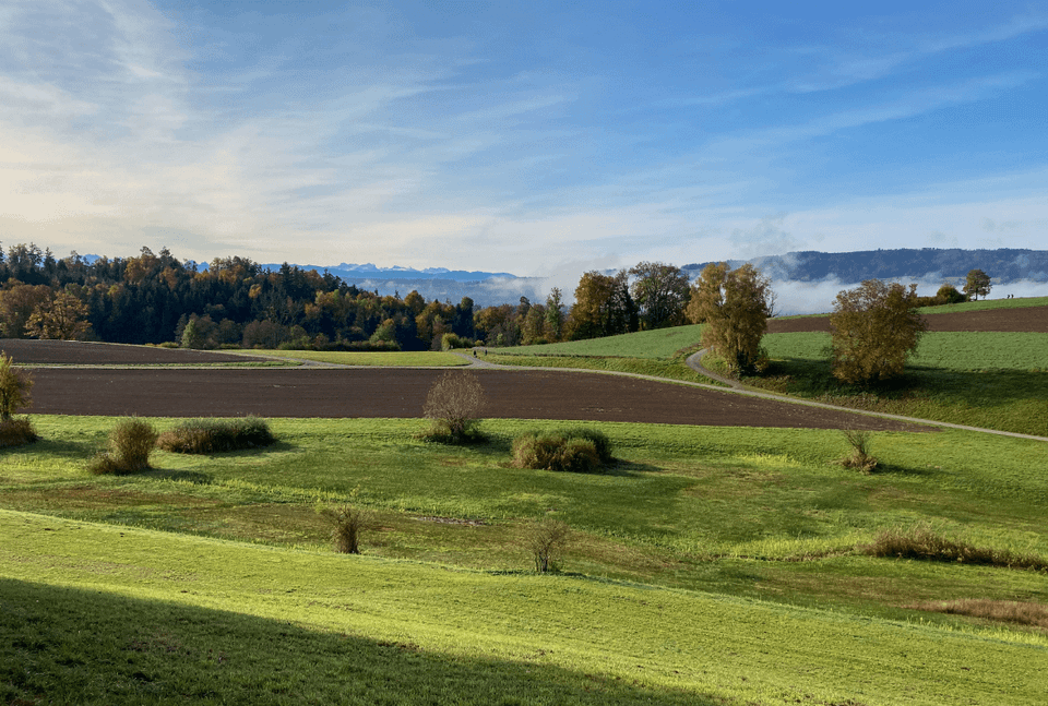 Rolling hills with grass, plowed fields, and a few trees and bushes
