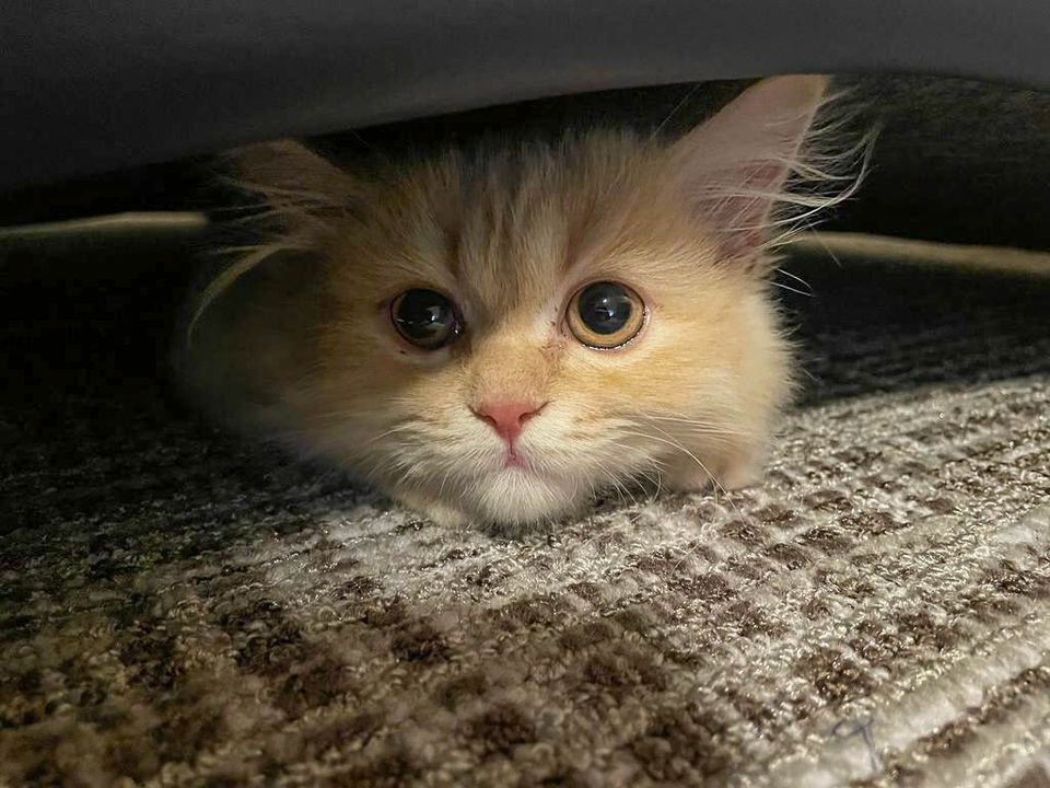 Don’t Worry About Greed (Newsletter 059)